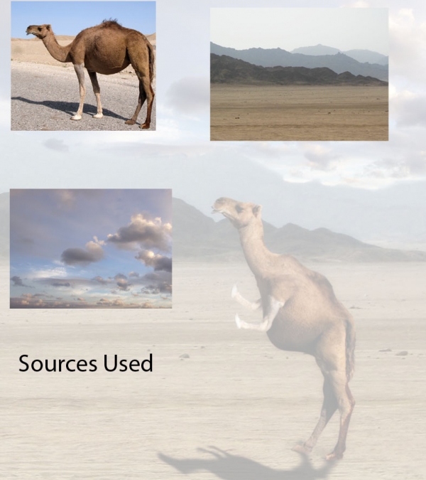 Creation of Desert Transport: Step 1